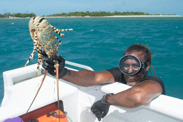 free-diving Tropical Rock Lobster fishing