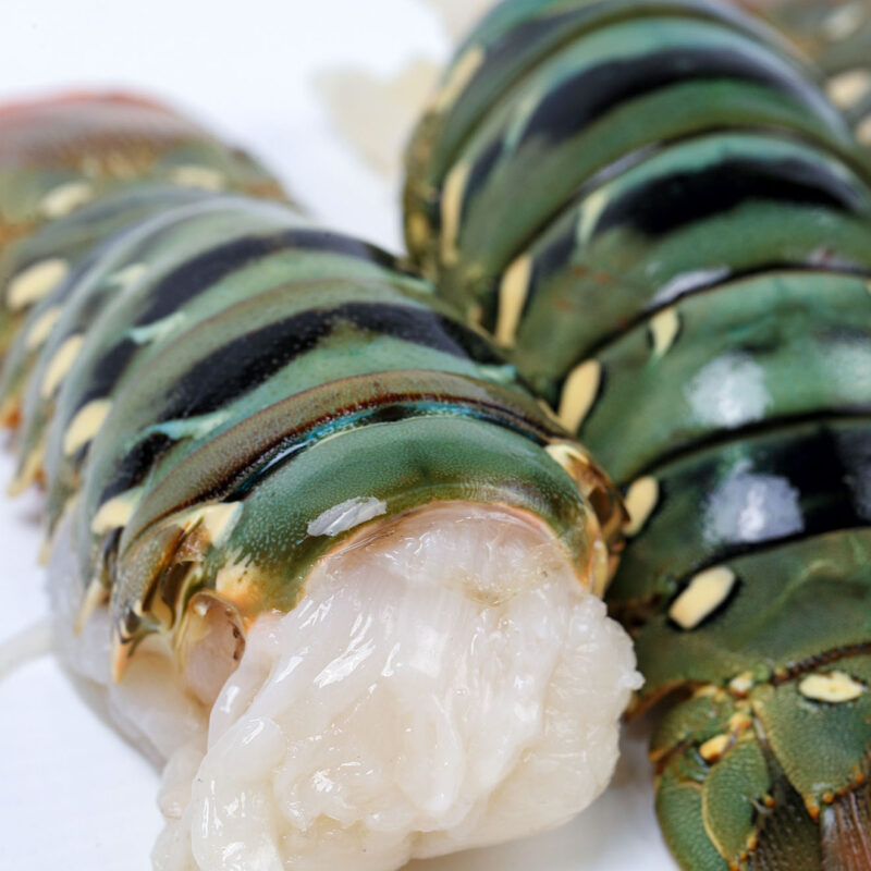 Fresh Lobster