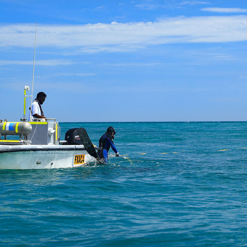 MG Kailis seafood worker proudly